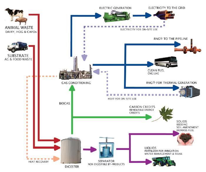 anaerobic-digestion